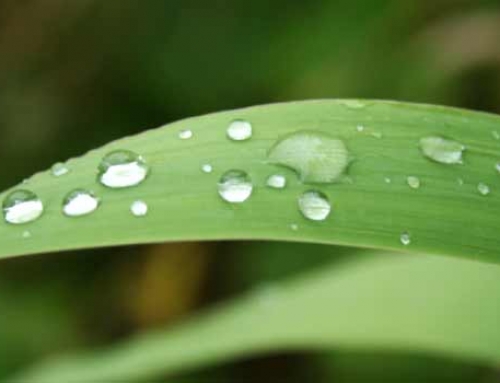 MENSAGEM PSICOGRAFADA PELA MÉDIUM ALDA MARIA